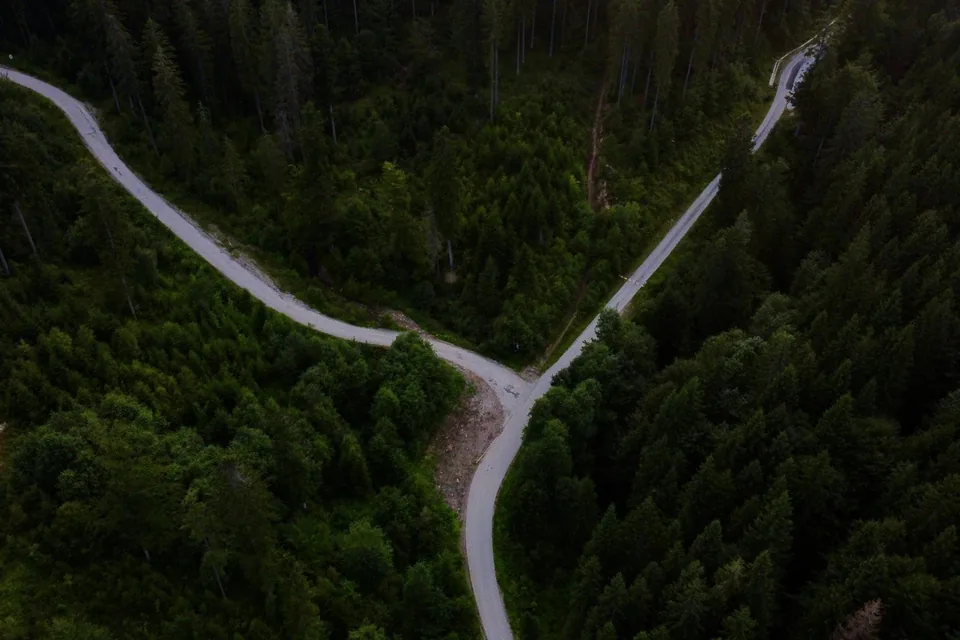 Vista aérea de uma estrada que se divide em dois caminhos no meio de uma floresta de pinheiros.